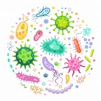 Microbiologie Immunologie